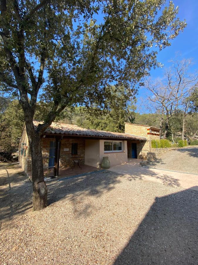 Comorebi Provence Entrecasteaux Exterior photo